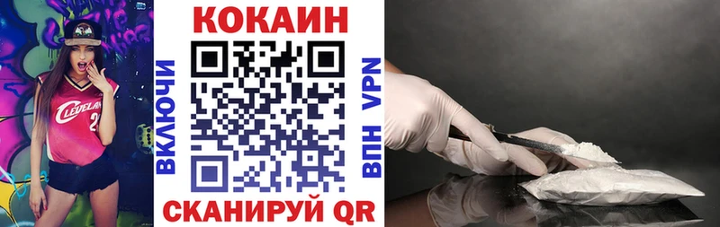 COCAIN Fish Scale где купить Сусуман