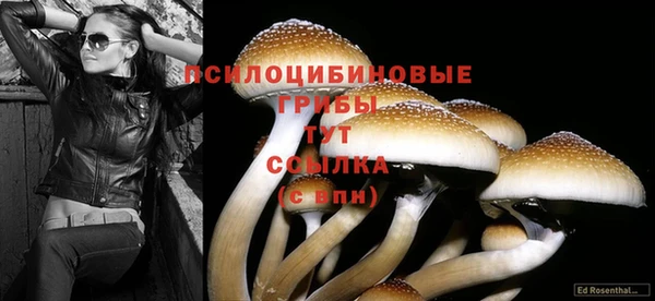 экстази Покров