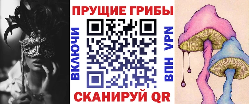 наркотики  Сусуман  ссылка на мегу ссылки  Псилоцибиновые грибы прущие грибы 